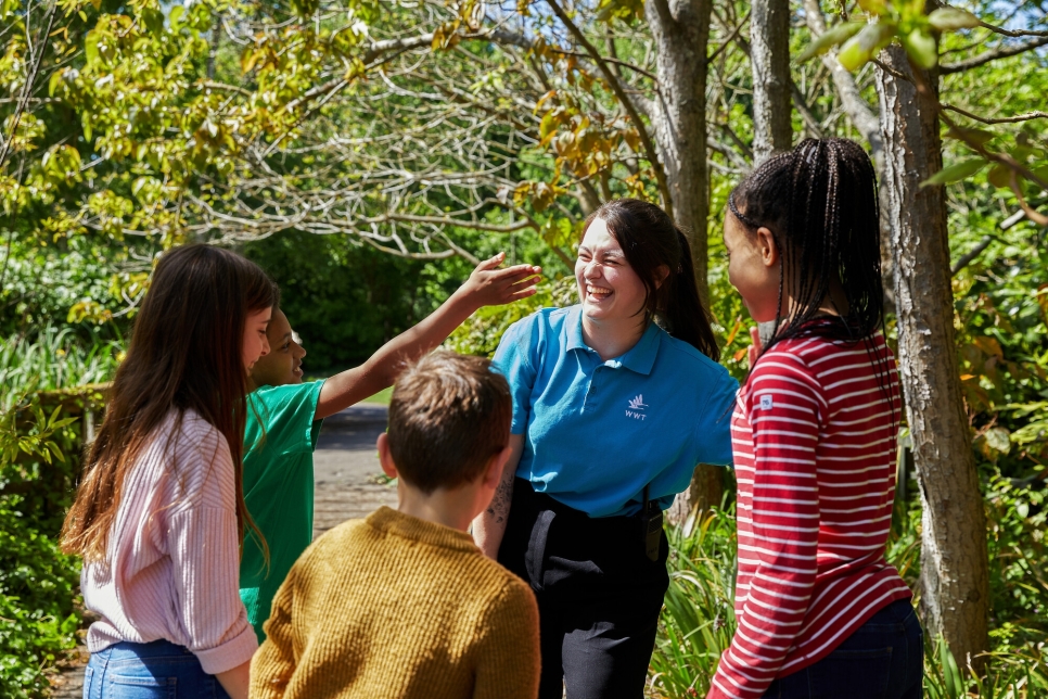 View: Wednesday Workshops - Summer 